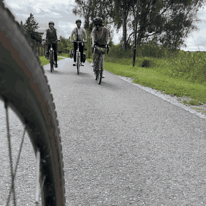 Drei Radfahrende kommen auf dem Radweg entgegen, im Vordergrund ein Vorderrad